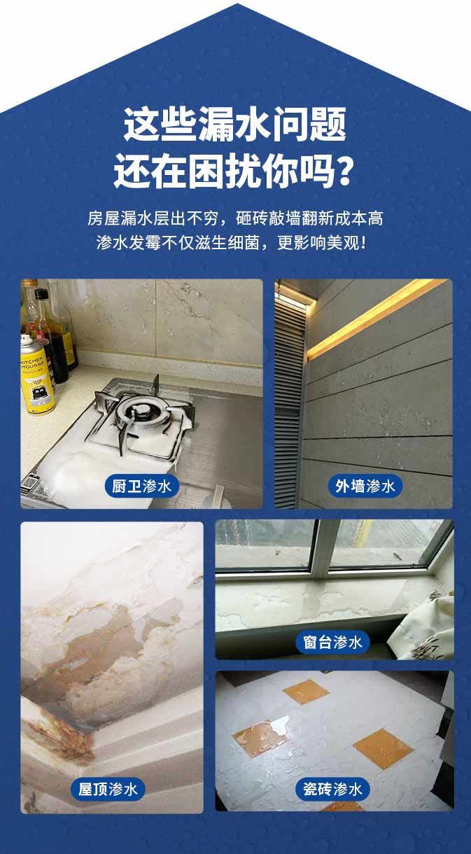 bodog官网 - 相信品牌的力量